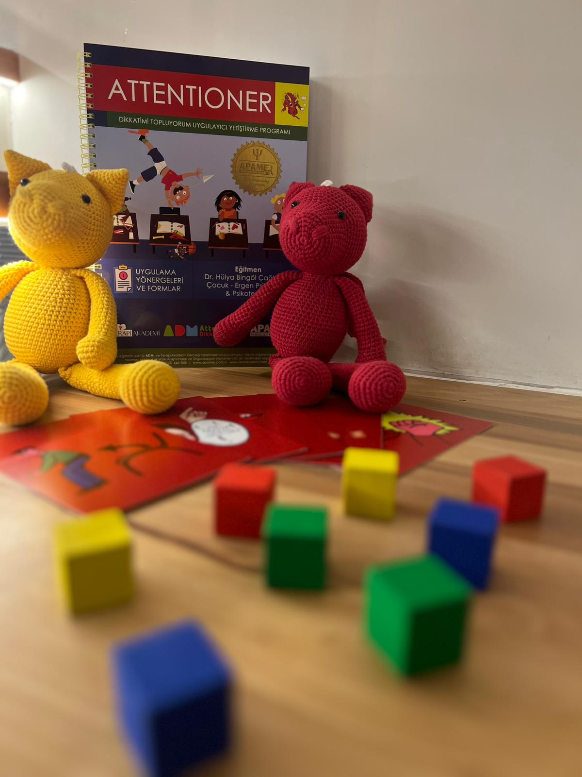 Ada Psikoloji ATTENTIONER (DEHB PROGRAMI)