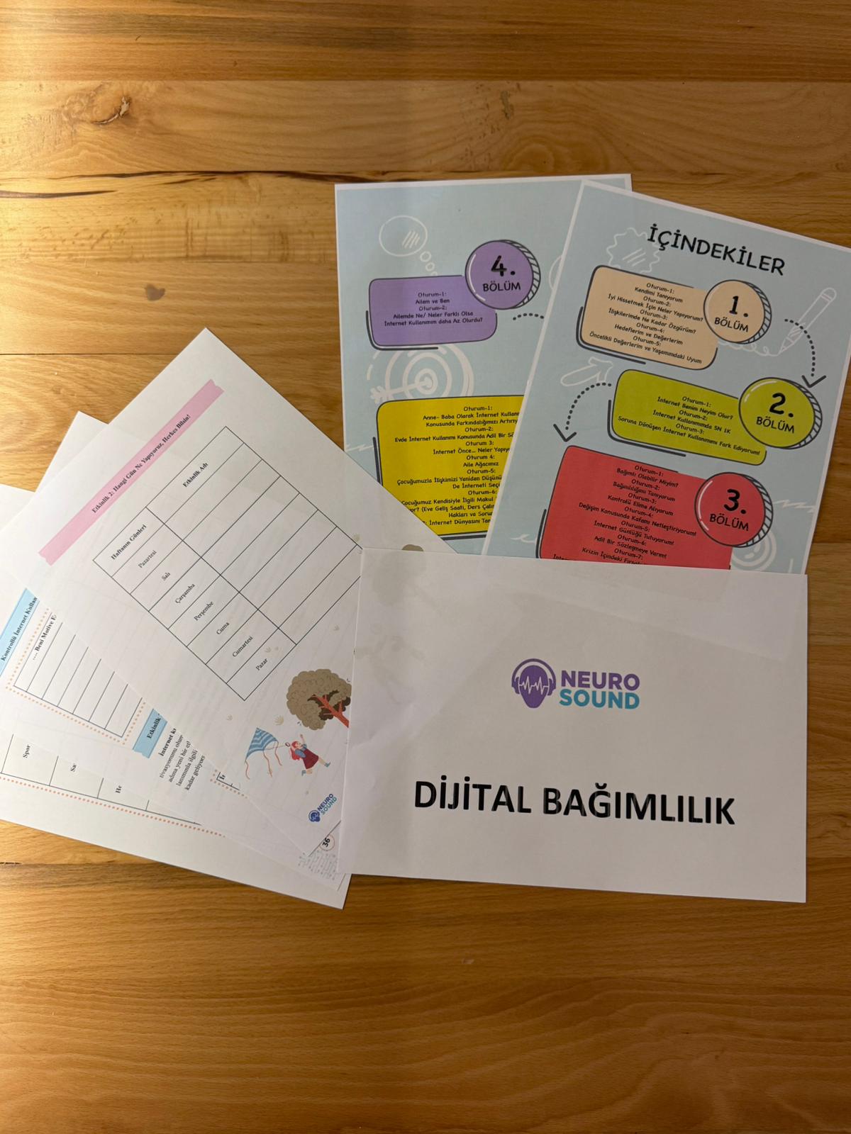 Ada Psikoloji DİJİTAL BAĞIMLILIK PROGRAMI